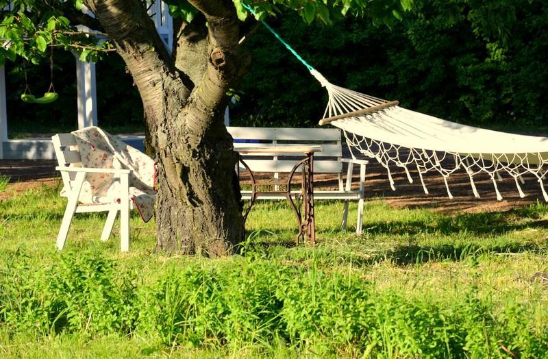 Murzynowo Kościelne Zielone Zacisze B&B 외부 사진