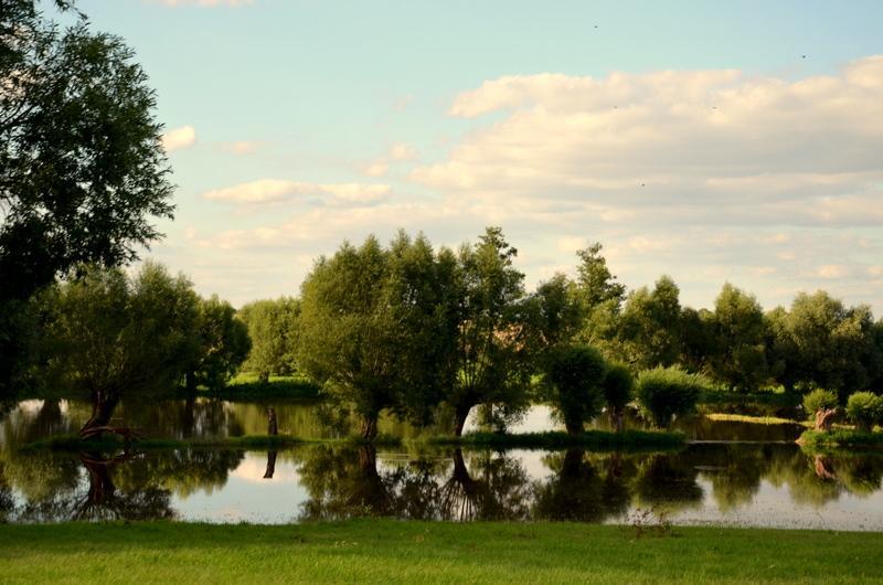 Murzynowo Kościelne Zielone Zacisze B&B 외부 사진