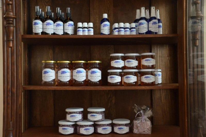 Murzynowo Kościelne Zielone Zacisze B&B 외부 사진